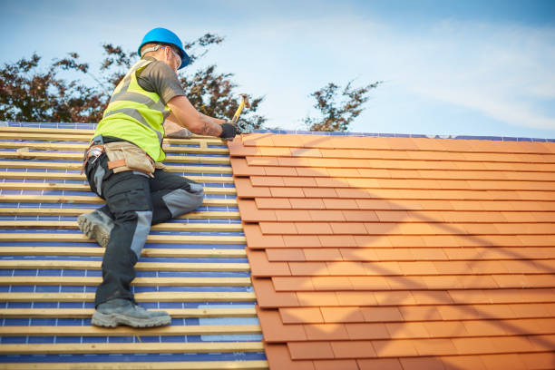 Best Roof Maintenance and Cleaning  in Pine Manor, FL